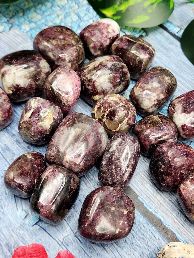 Rubellite Tumbles: A Stone of Passion, Vitality, and Emotional Healing