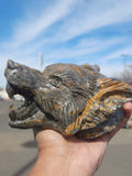 Wolf Head Carving in Petrified Palmwood for Strength, Tranquility and Success | Home Decor | Crystal Healing