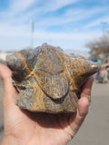 Wolf Head Carving in Petrified Palmwood for Strength, Tranquility and Success | Home Decor | Crystal Healing