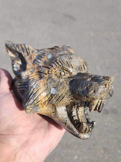 Wolf Head Carving in Petrified Palmwood for Strength, Tranquility and Success | Home Decor | Crystal Healing