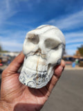 Zebra Calcite Skull Carving: A Symbol of Transformation, Strength, and Balance | Home Decor | Crystal Healing