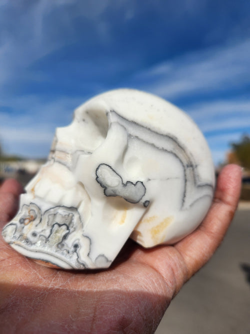 Zebra Calcite Skull Carving: A Symbol of Transformation, Strength, and Balance | Home Decor | Crystal Healing