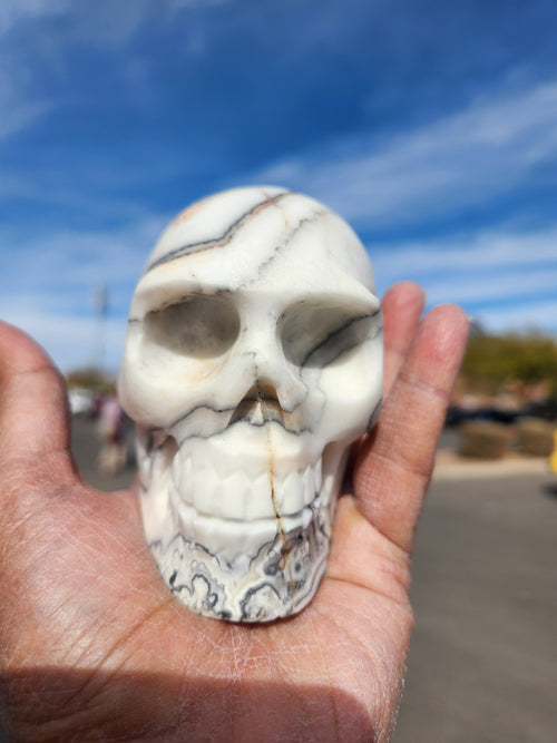 Zebra Calcite Skull Carving: A Symbol of Transformation, Strength, and Balance | Home Decor | Crystal Healing