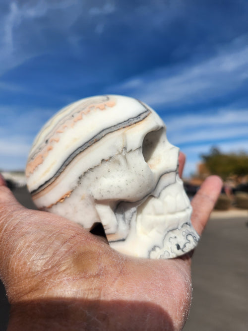 Zebra Calcite Skull Carving: A Symbol of Transformation, Strength, and Balance | Home Decor | Crystal Healing