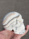 Zebra Calcite Skull Carving: A Symbol of Transformation, Strength, and Balance | Home Decor | Crystal Healing