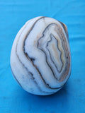 Zebra Calcite Skull Carving: A Symbol of Transformation, Strength, and Balance | Home Decor | Crystal Healing