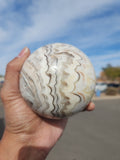 Zebra Onyx Sphere: Experience Harmony and Strength with This Exquisite Handmade Gemstone | Home Decor | Crystal Healing