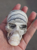 Zebra Onyx Skull Carving: A Fusion of Art, Symbolism, and Spiritual Significance | Crystal Decor | Crystal Healing