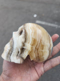 Zebra Onyx Skull Carving: A Perfect Blend of Home Elegance and Spiritual Energy