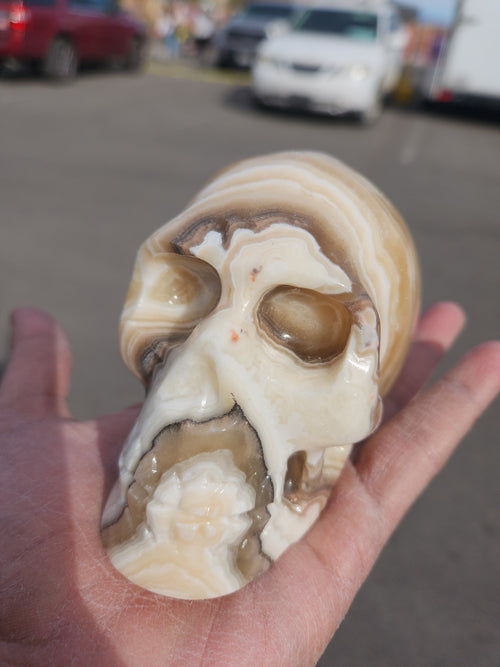 Zebra Onyx Skull Carving: A Perfect Blend of Home Elegance and Spiritual Energy