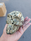 Pyrite Druzy Skull Carving: A Symbol of Power, Transformation, and Spiritual Insight | Crystal Crafts - Weight 1600 gms and 5 inches