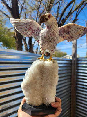 Flying Eagle Carving in Pink Tourmaline on White Quartz with Picture Jasper Beak, Perched on Crystal Geode with Onyx Base – A Masterpiece of Elegance and Energy | Weighing 2020 gms