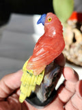 Cherry Quartz, Sodalite, and Serpentine Parrot Carving Sitting on Agate/Amethyst Geode: Vibrant Harmony | Reiki/Chakra/Healing/Energy | Home Decor | Size is 3.5 inches and weight 110 gms