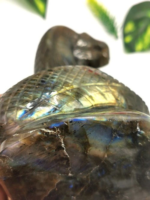 Cobra snake carving in Labradorite stone - crystal healing / chakra / reiki / energy - 5.5 inches and 895 gms (1.97 lb)